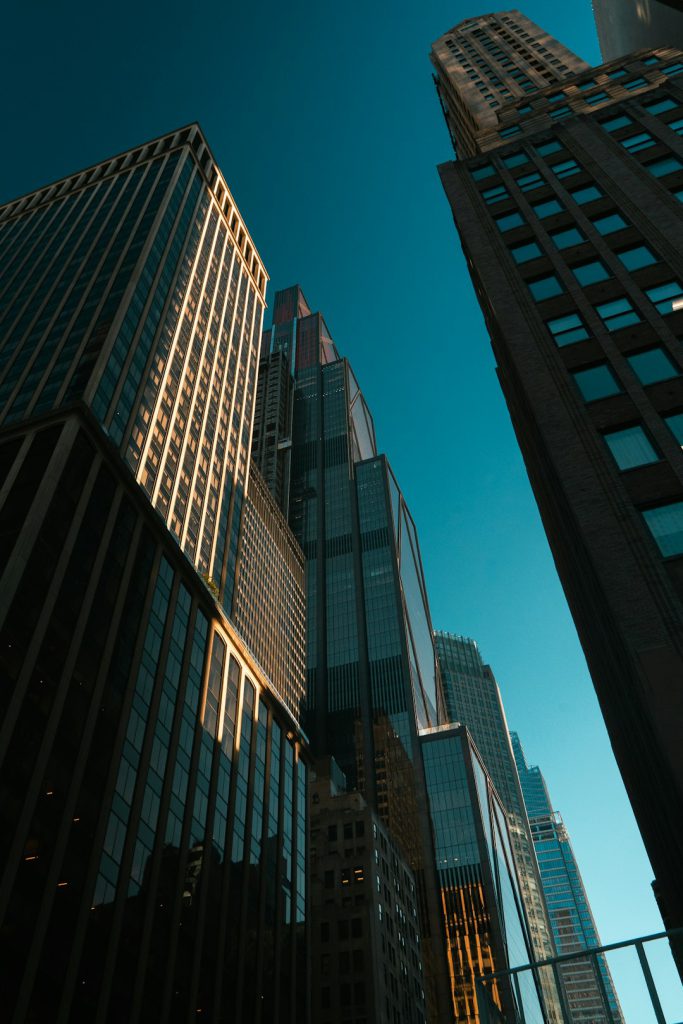 ג'ורג' ורור פרופיל עסקי ג'ורג' ורור